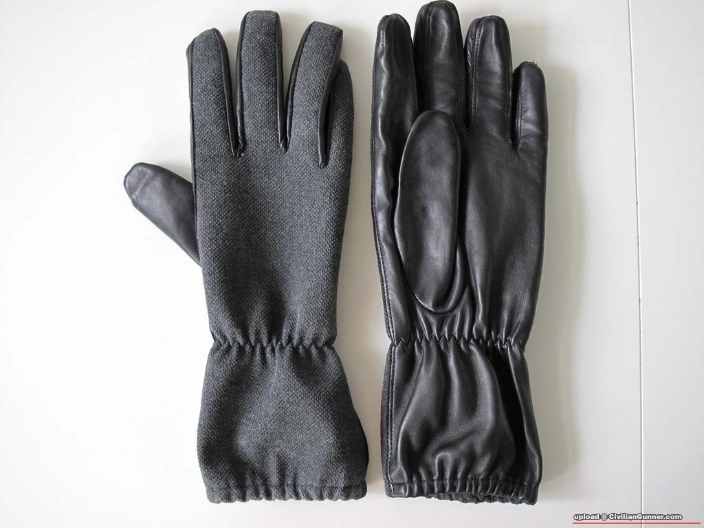 GSG9 Gloves.01.JPG