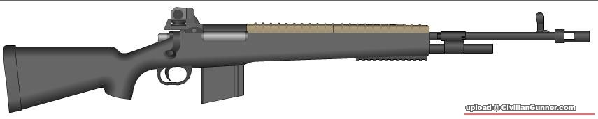 M14.JPG