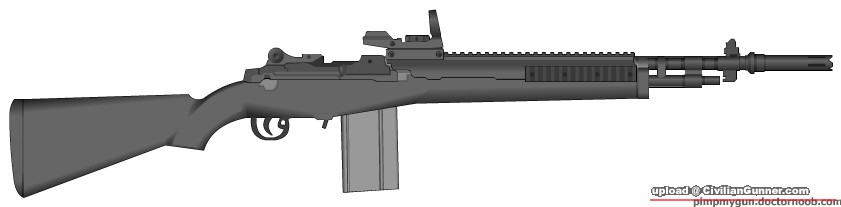 M14.jpg