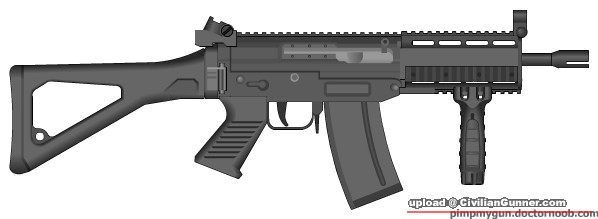 SIG552.jpg