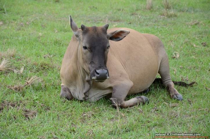 ƻs -06-06-2011 087.jpg