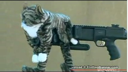 kitty-cornershot.jpg