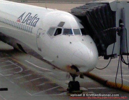 delta-birdstrike-4.jpg