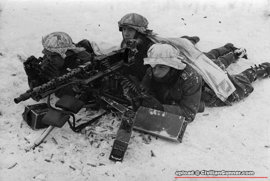 mg34A12.jpg