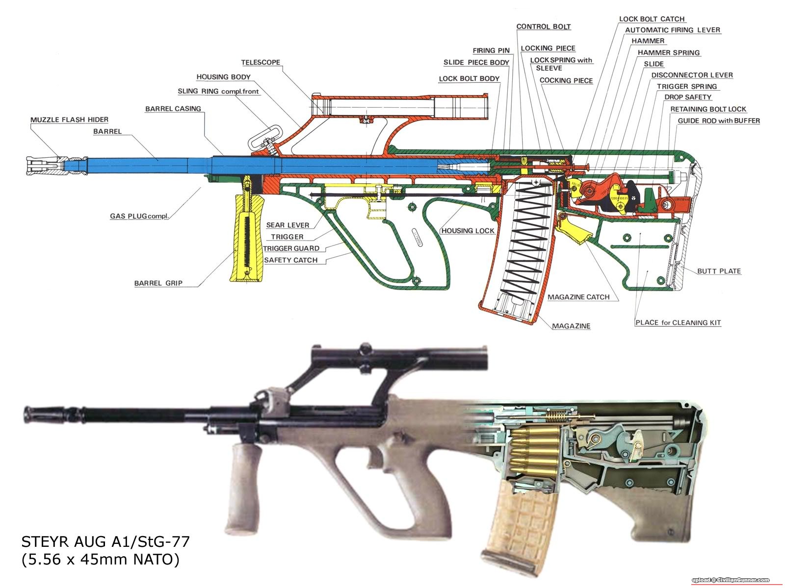 AUGcutaway-1.jpeg